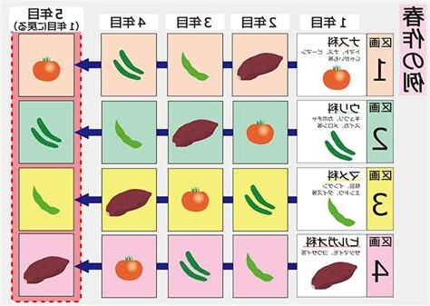 輪作 例